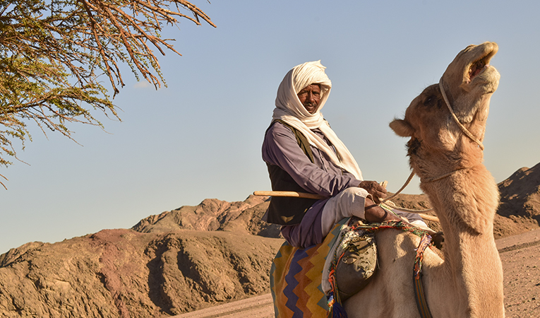 The real historic mountain inhabitants, Ababda  Photo